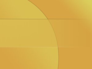 農安縣營養有限責任公司