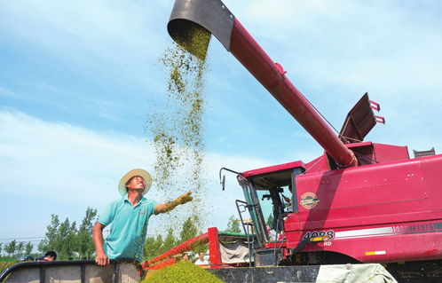 構筑生態宜居家園，推動谷物銷售新篇章