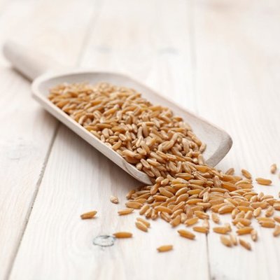 大米、雜糧與化肥 了解我們的日常主食